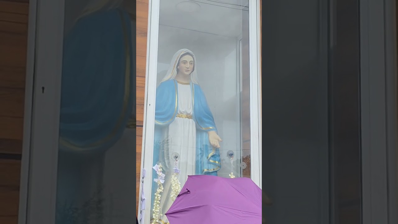 അമ്മയുടെ അരികിൽ #shortvideo #kripasam