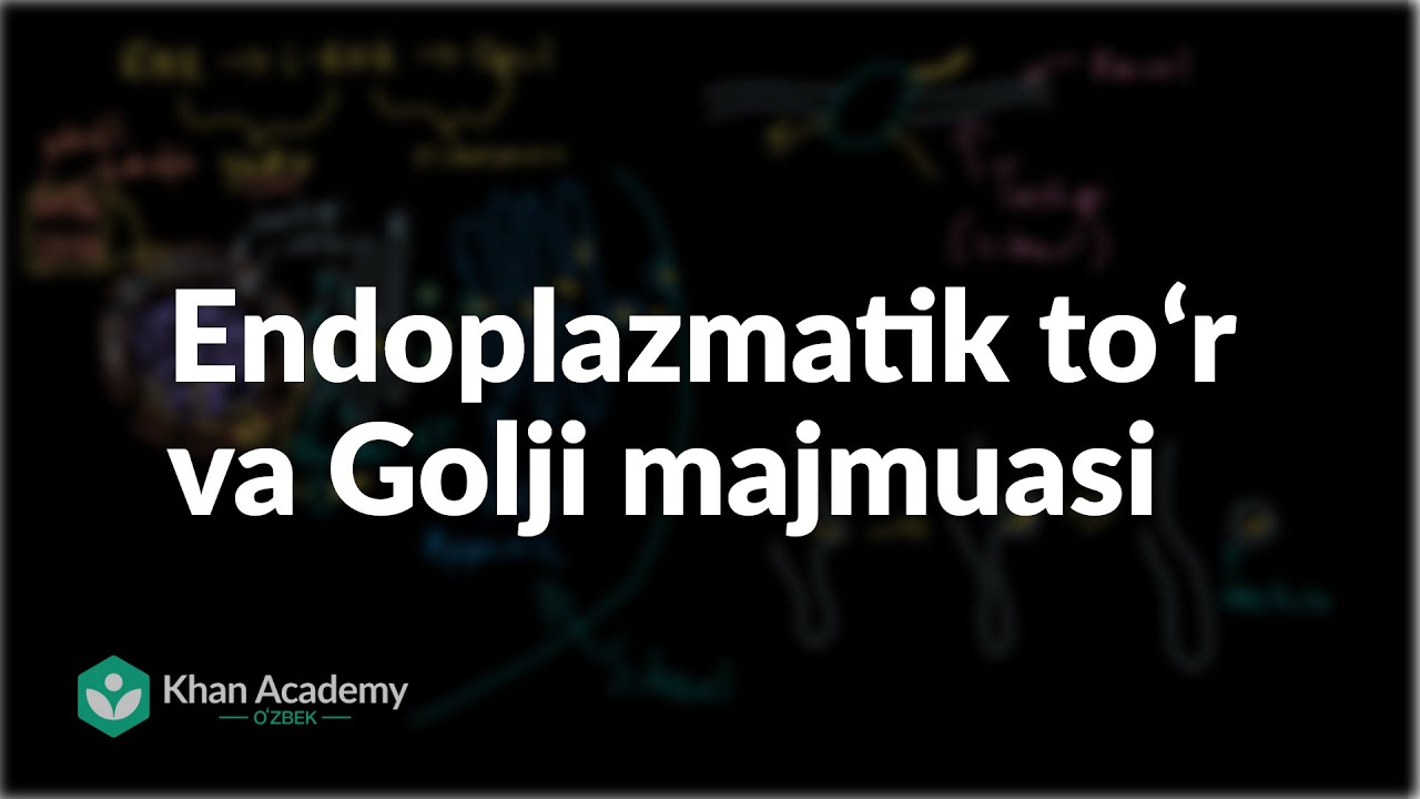 Endoplazmatik toʻr va Golji majmuasi | Hujayra strukturasi | Biologiya