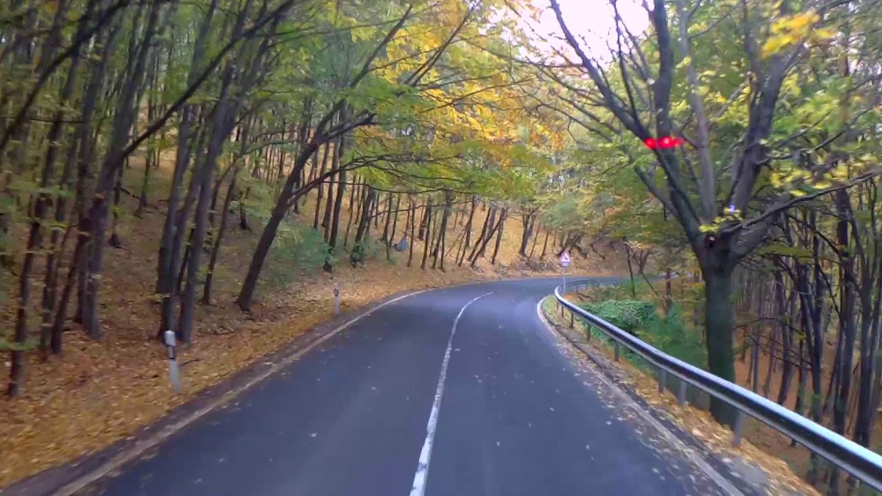 Őszi Bakony (Zirc-Kardosrét- Veszprémvarsány útvonal)