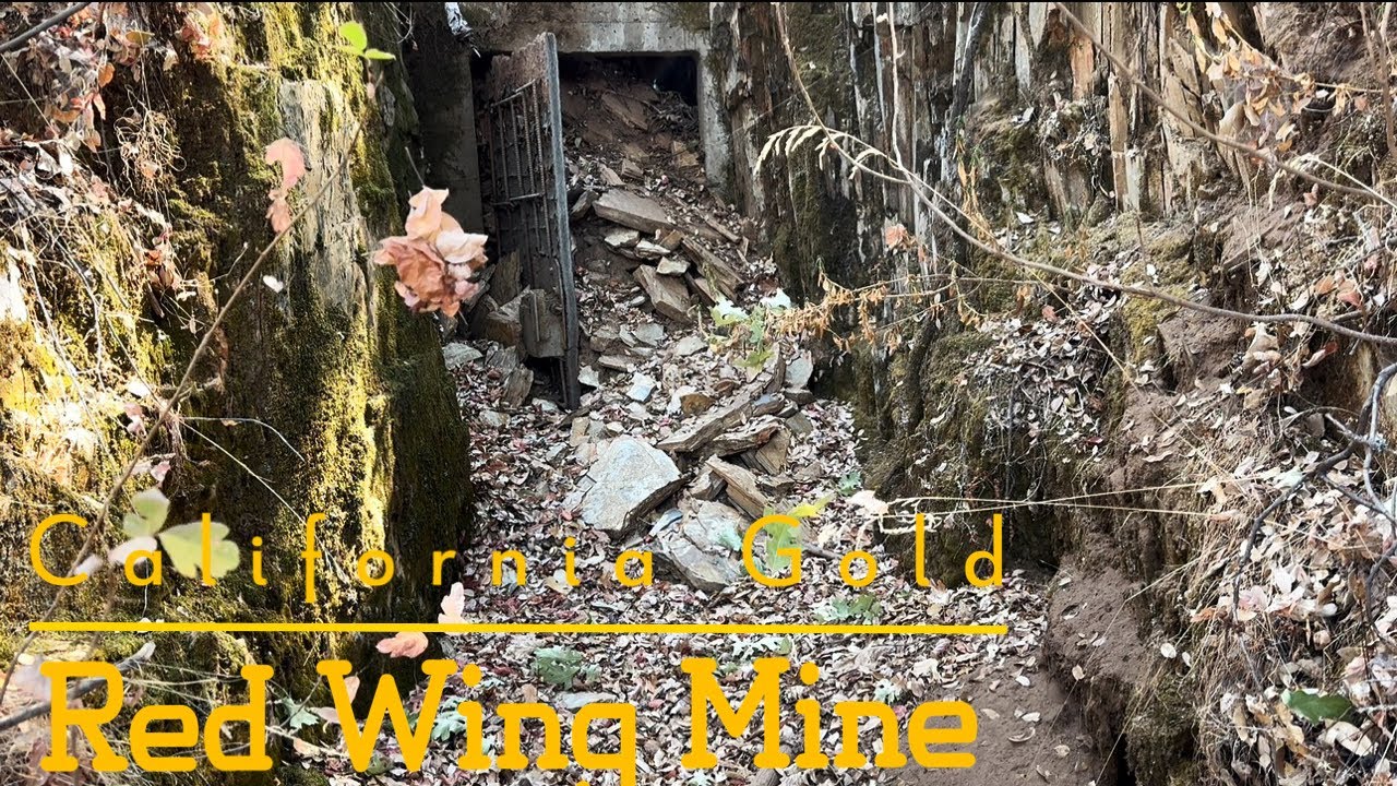 The Red Wing Mine California Mother Lode Gold