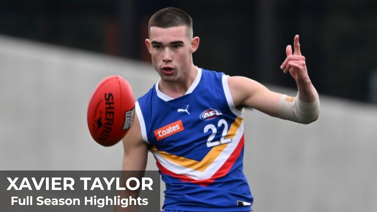 Xavier Taylor - Full Season Highlights