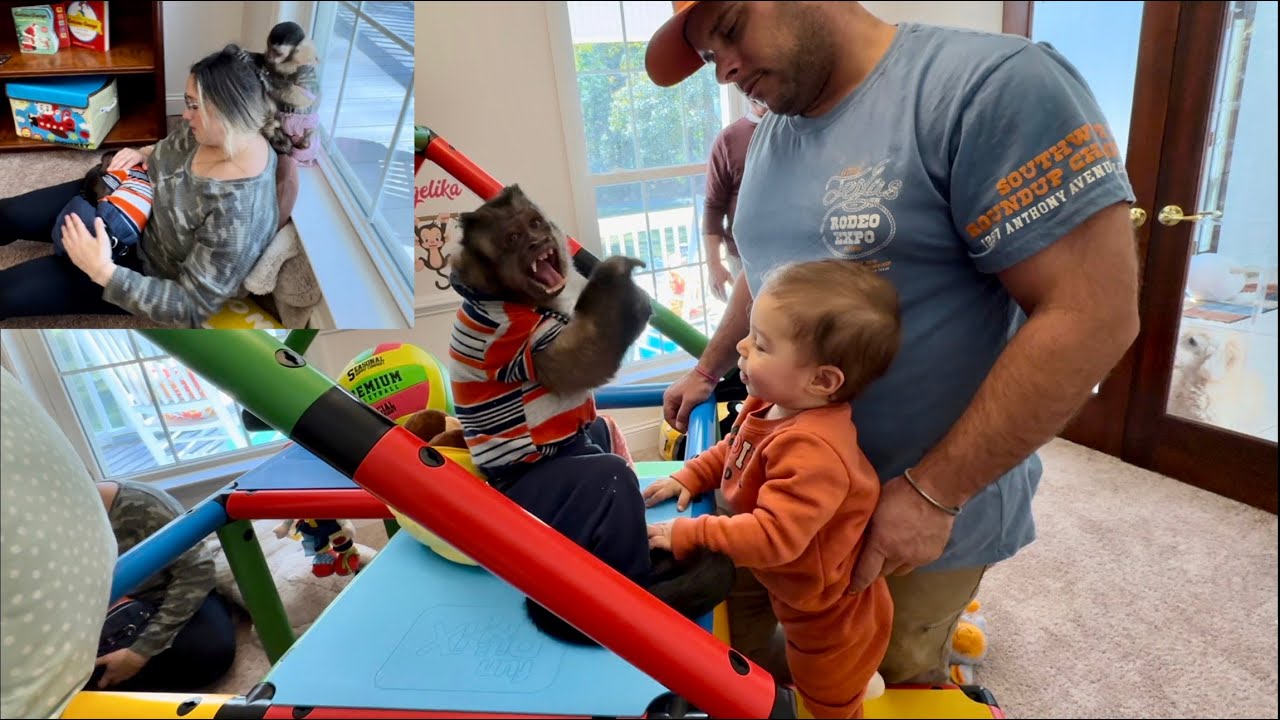 4 Monkeys in the playroom 😅😉