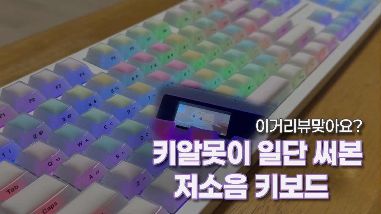 리뷰 없는 키보드 내돈내산 리뷰 ｜ 사무용 저소음 키보드 ｜앱코 ACH105 ｜ 앱코 궁딩이 키캡