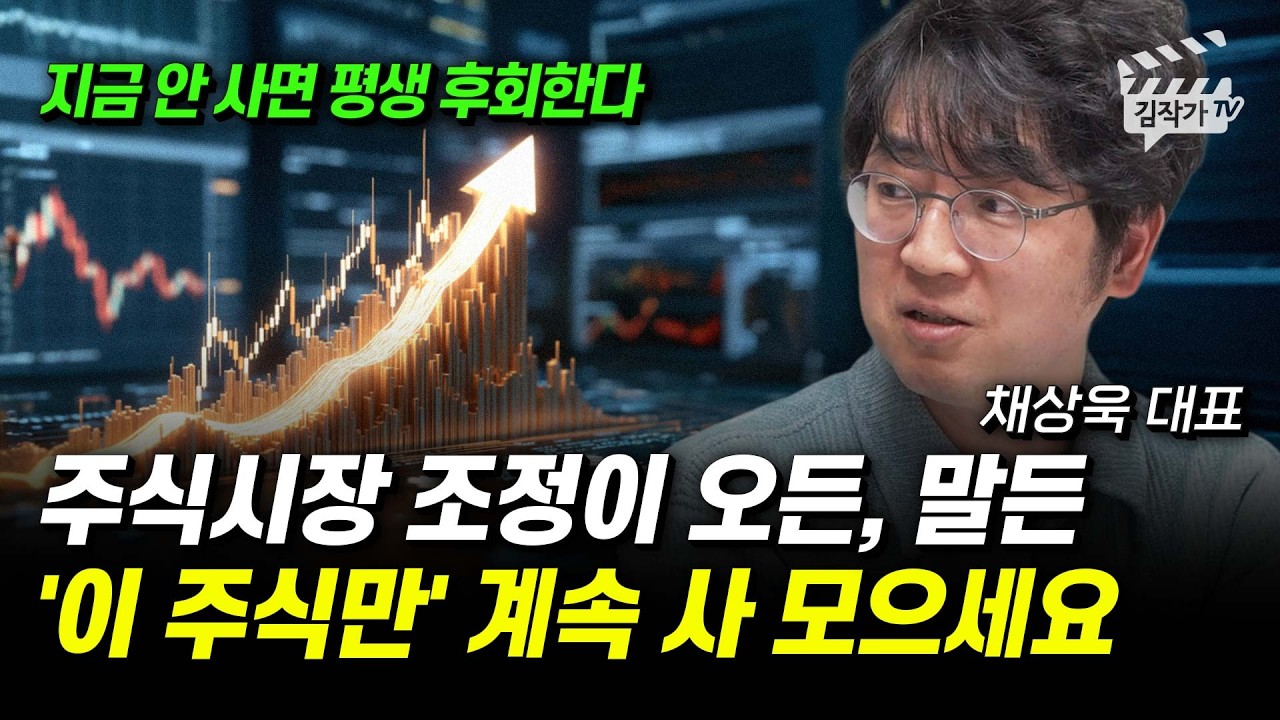 주식시장 조정이 오든, 말든 '이 주식만' 계속 사 모으세요 (채상욱 대표)