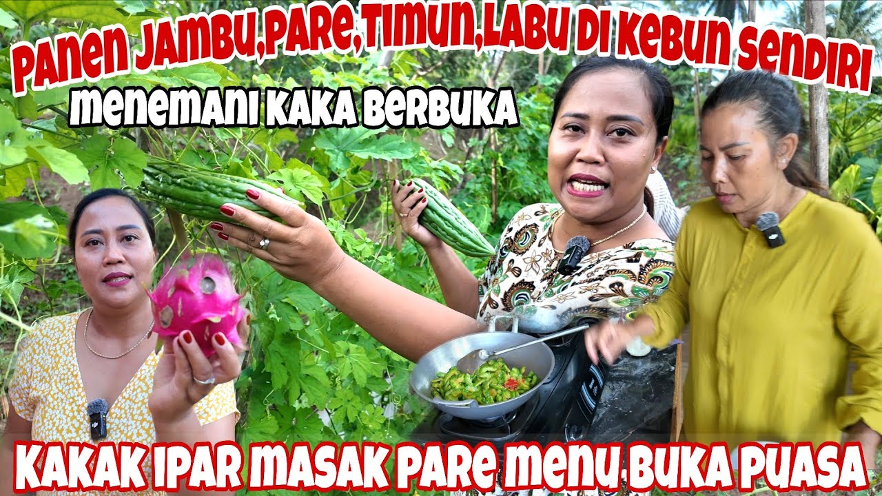 PERDANA PANEN JAMBU AIR TH 2026‼️PANEN LABU CINA,PARE,TIMUN HASILNYA SAK UMBRUK ~ LANGSUNG DI BAGI