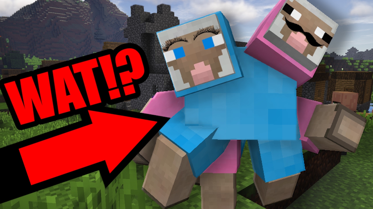 WhAT HAPPENED TO PINK SHeEP???