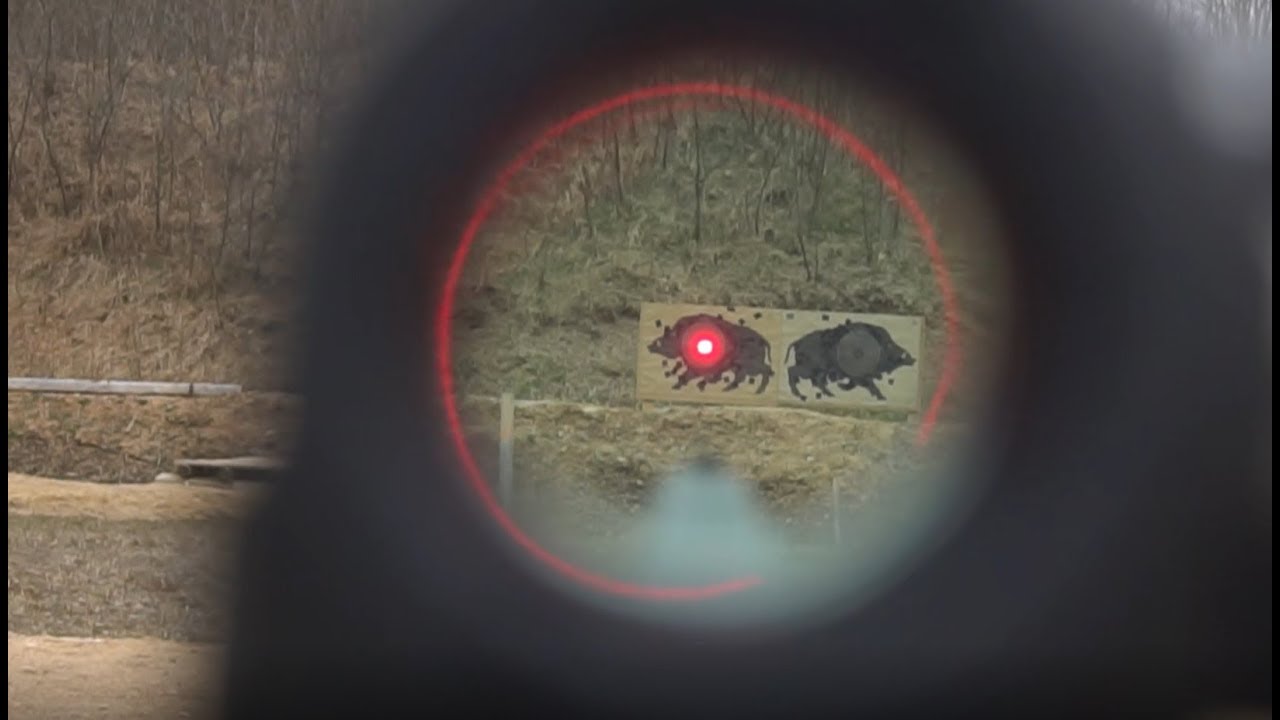 Looking thru Aimpoint s1 6MOA 100m and 50m
