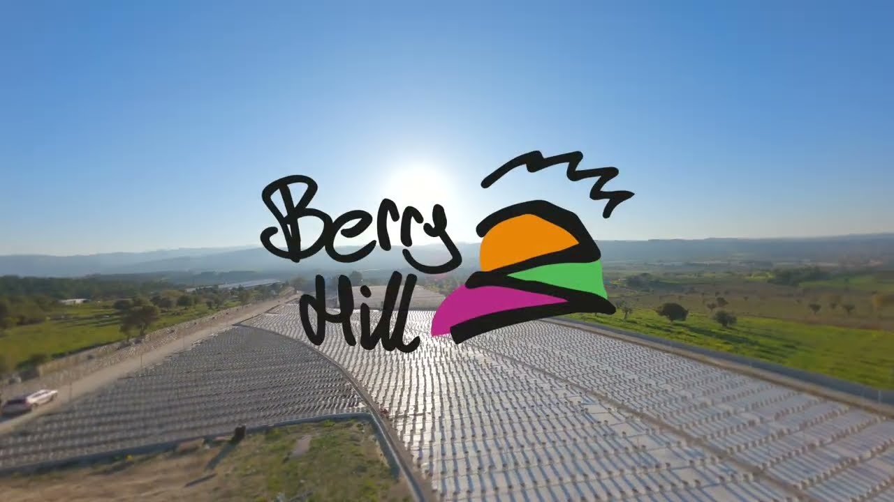 BERRY HILL