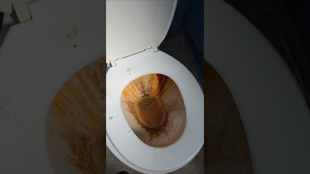 como quitar sarro o agua dura #limpieza #tips