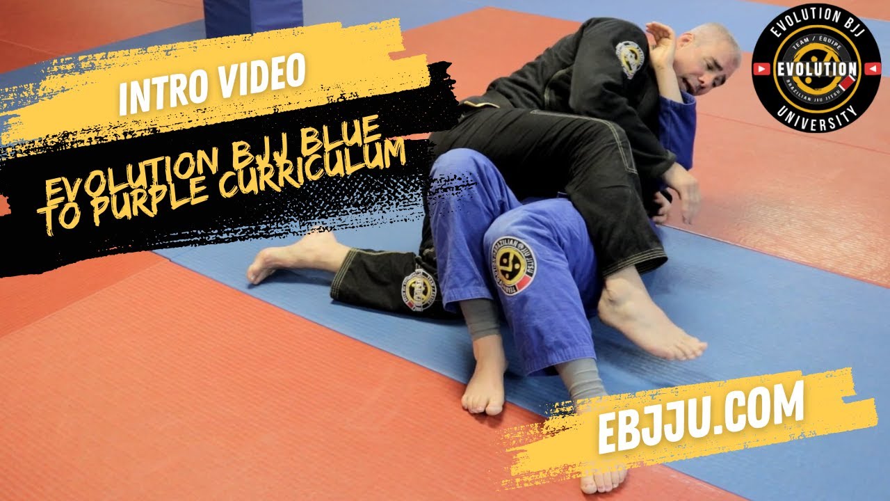 Evolution BJJ University - Blue to Purple Belt Curriculum