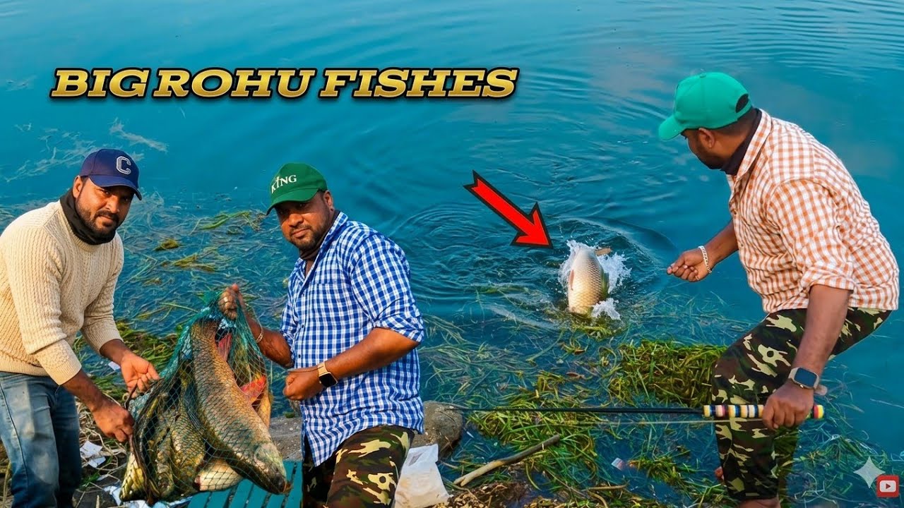 abs fishing videos | indian fishing videos | fish hunting videos | new fishing videos 