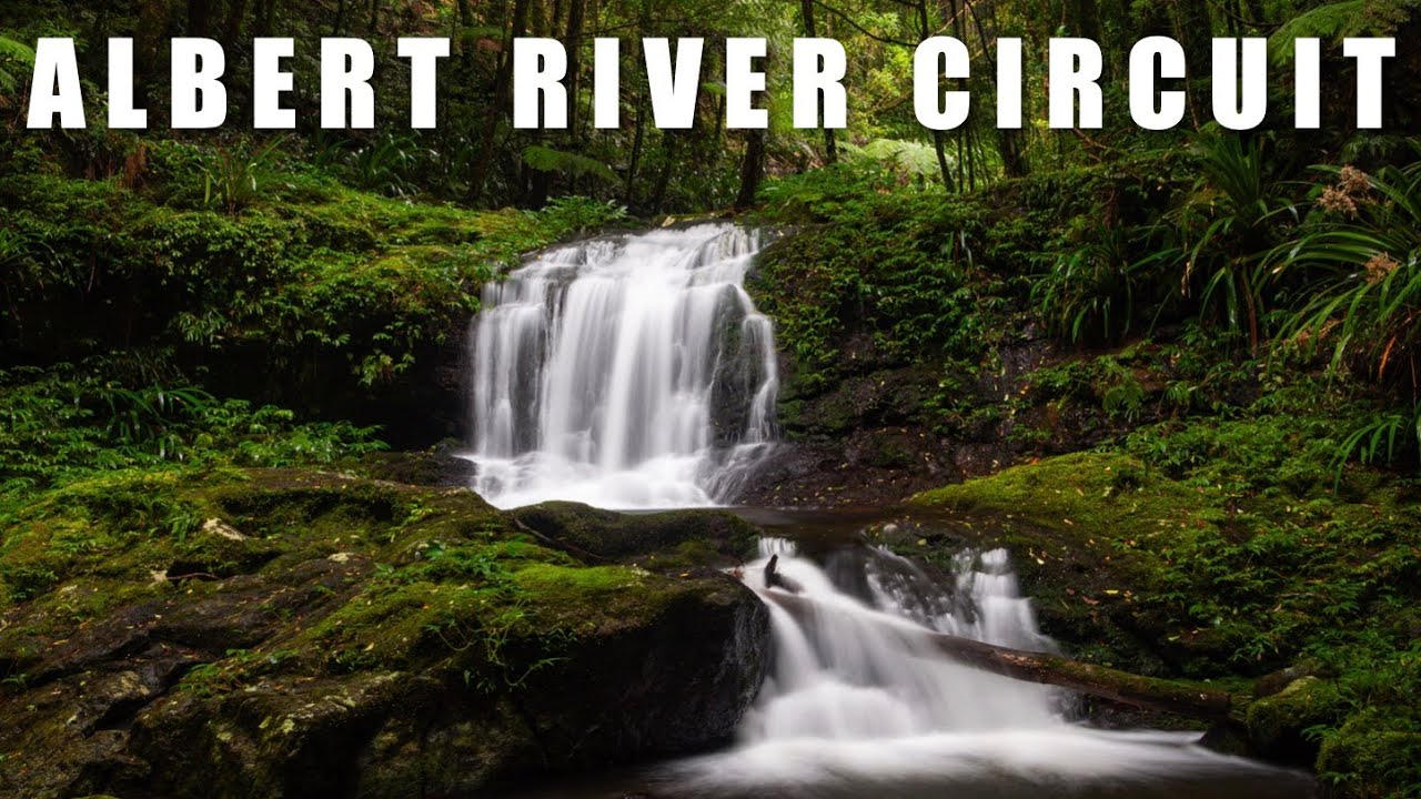 Albert River Circuit - World Heritage Lamington Rainforest & Waterfalls