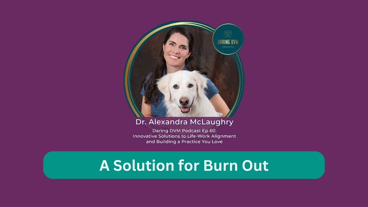 Creating a Solution for Burn Out | Daring DVM