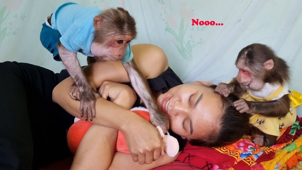 Mimi Kuku tries to steal Mom's teddy bear