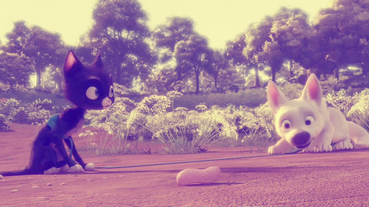 Bolt x Mittens: Señorita
