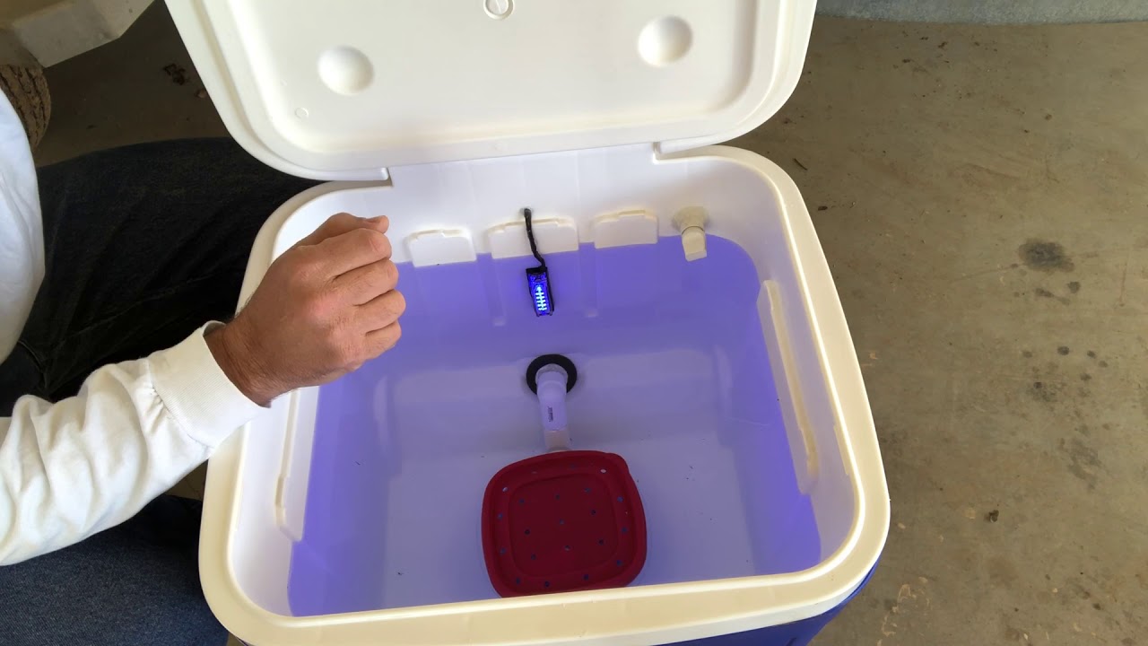 Bait Tank - Igloo Ice Cube Cooler