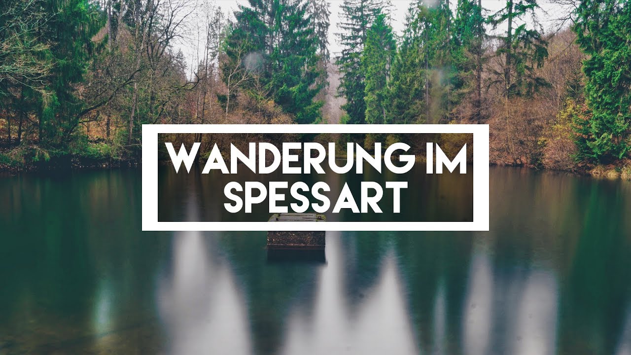 WANDERUNG IM SPESSART | Vlog 155