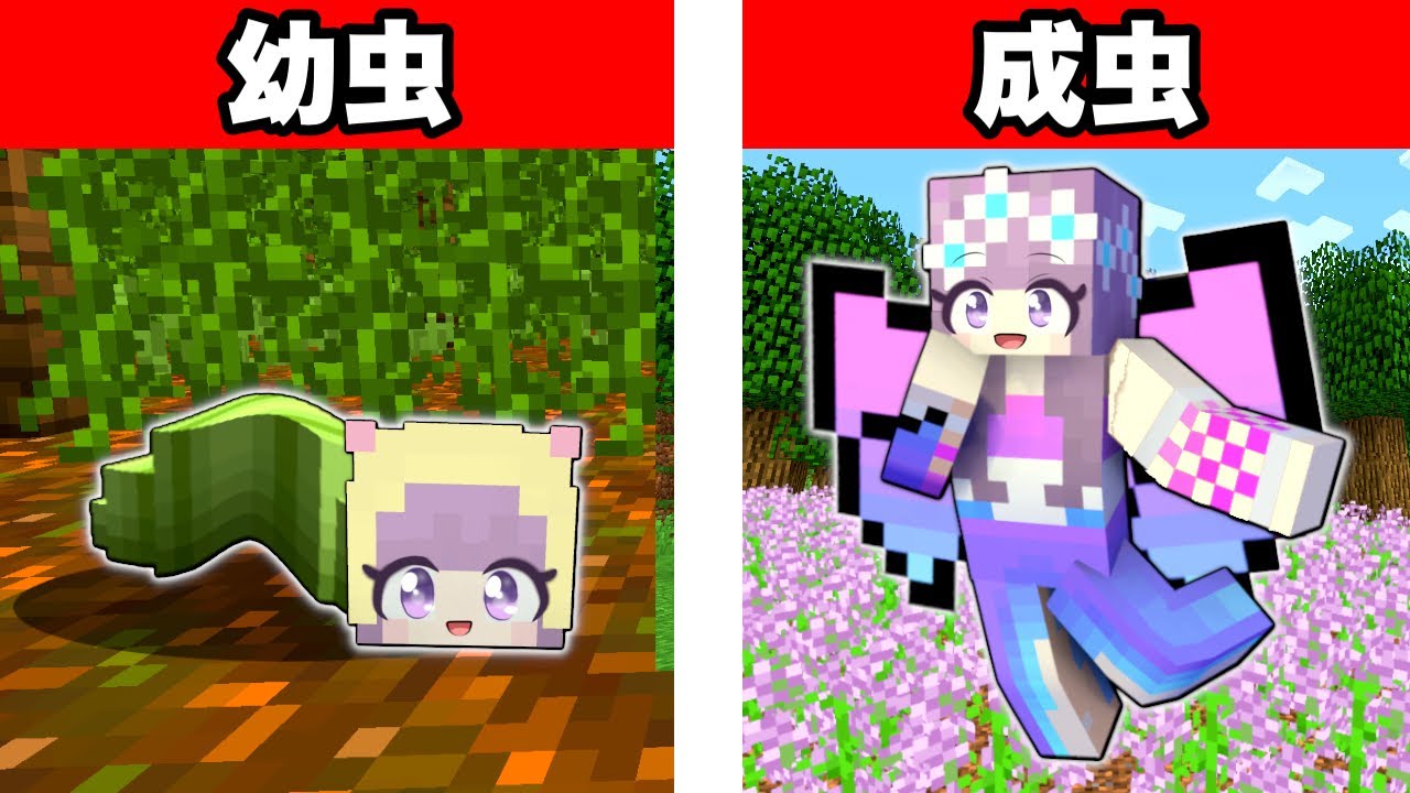 チョウになって生活するマインクラフト🦋【マイクラ Minecraft】ぽっぴんず