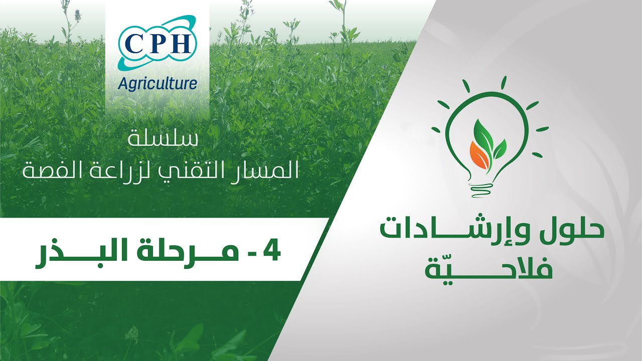 المسار التقني لزراعة الفصة الحلقة 4 مرحلة البذر