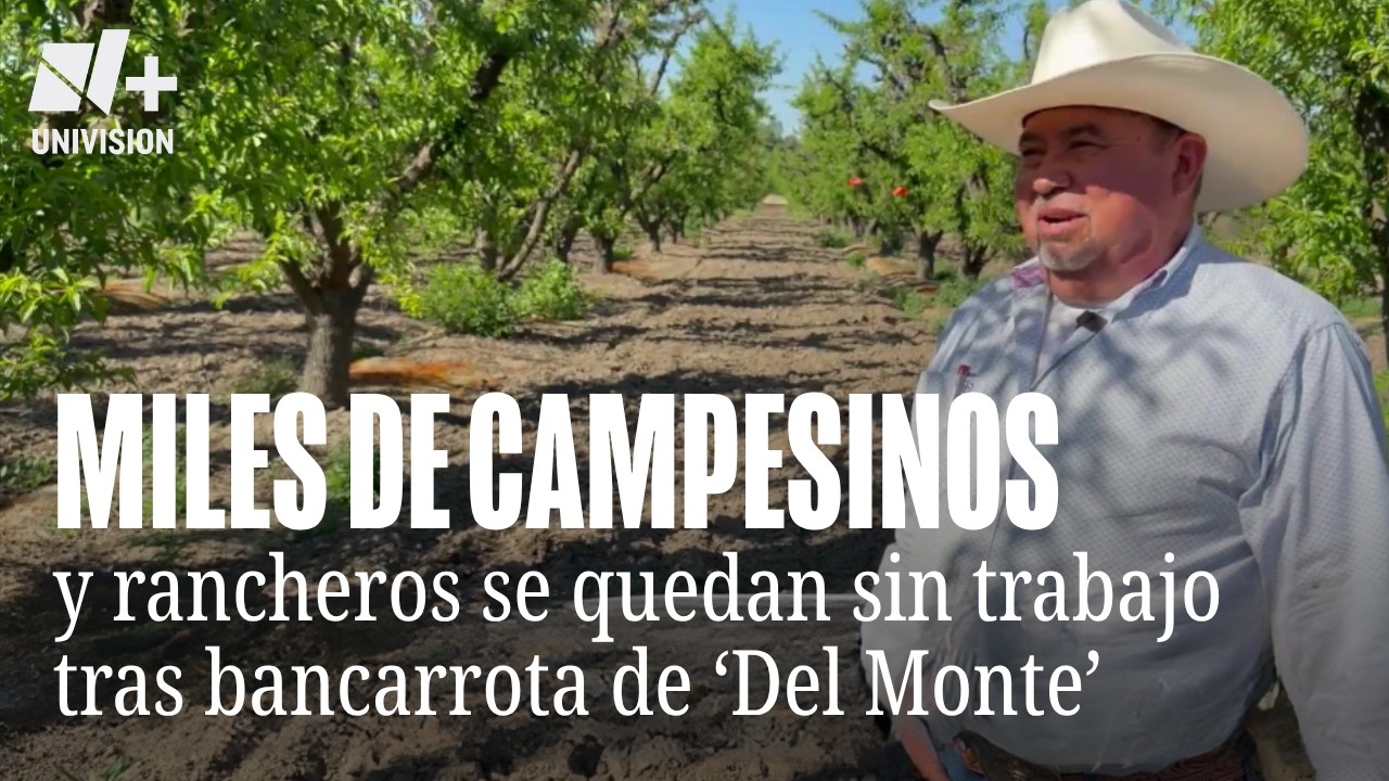 &ldquo;No hab&iacute;a mirado una situaci&oacute;n as&iacute;&rdquo;: Campesinos y rancheros del Valle Central se quedan sin trabajo