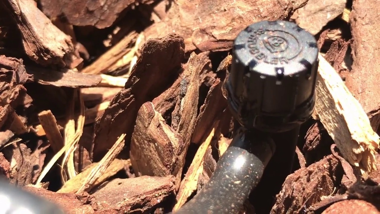 How to Stop a Siphon from Completely Draining Water Reservoir - Automatic Watering System for Plants