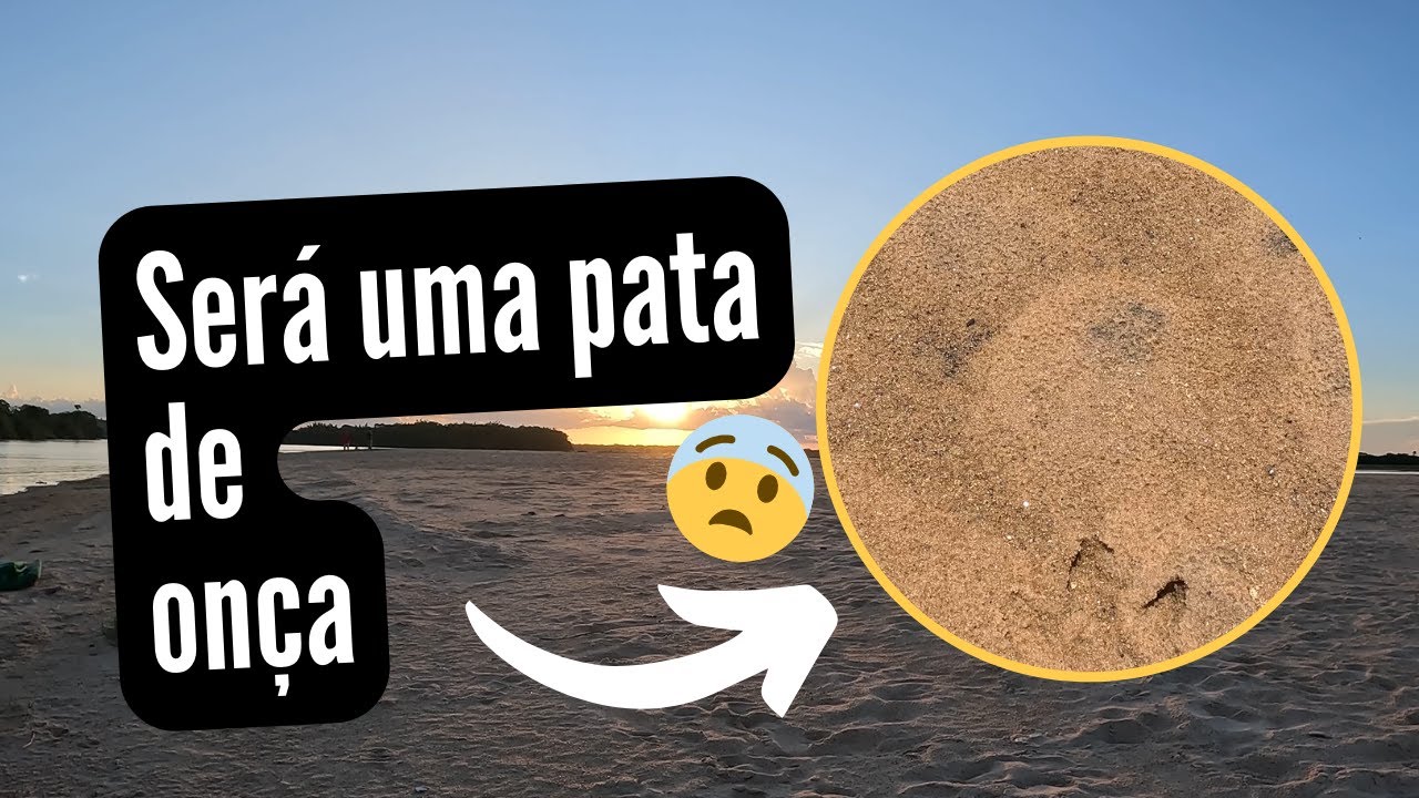 Descobrindo o Paraíso Secreto no Paraná: O Lugar Deslumbrante que Poucos Conhecem!
