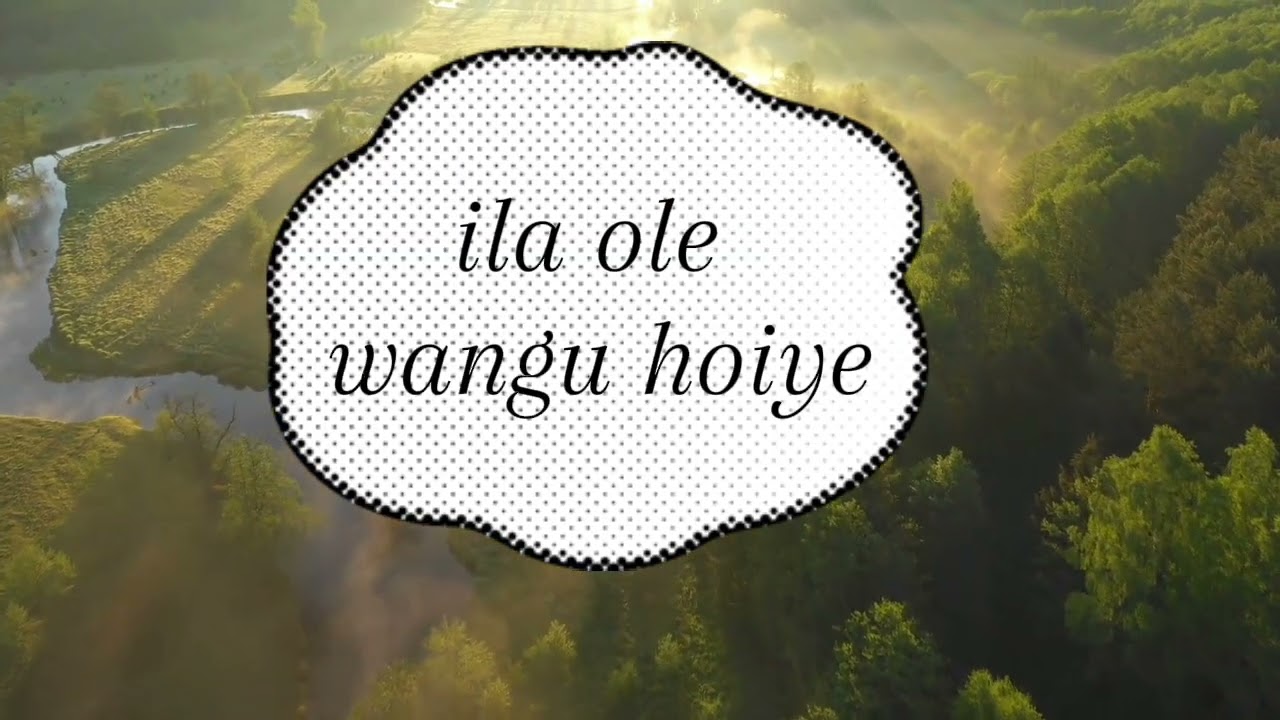 Pole _by_Nyota Bee (lyrics video). MP4