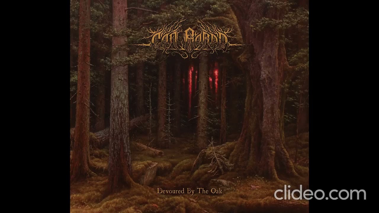 Cân Bardd - All Albums (2018-2021)