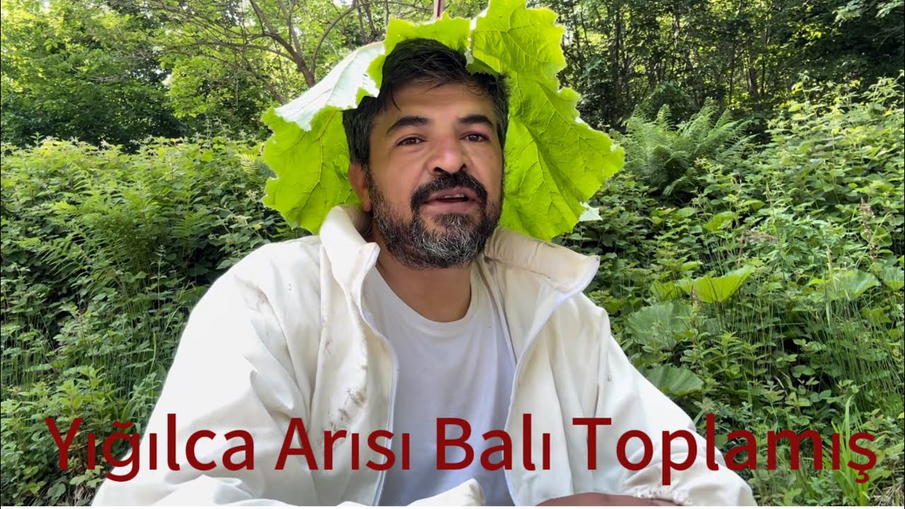 Farkı Farkettirmiş… Yığılca Arısı Farkı… Bütün Olumsuz Hava Şartlarına Rağmen Balı Toplamış…