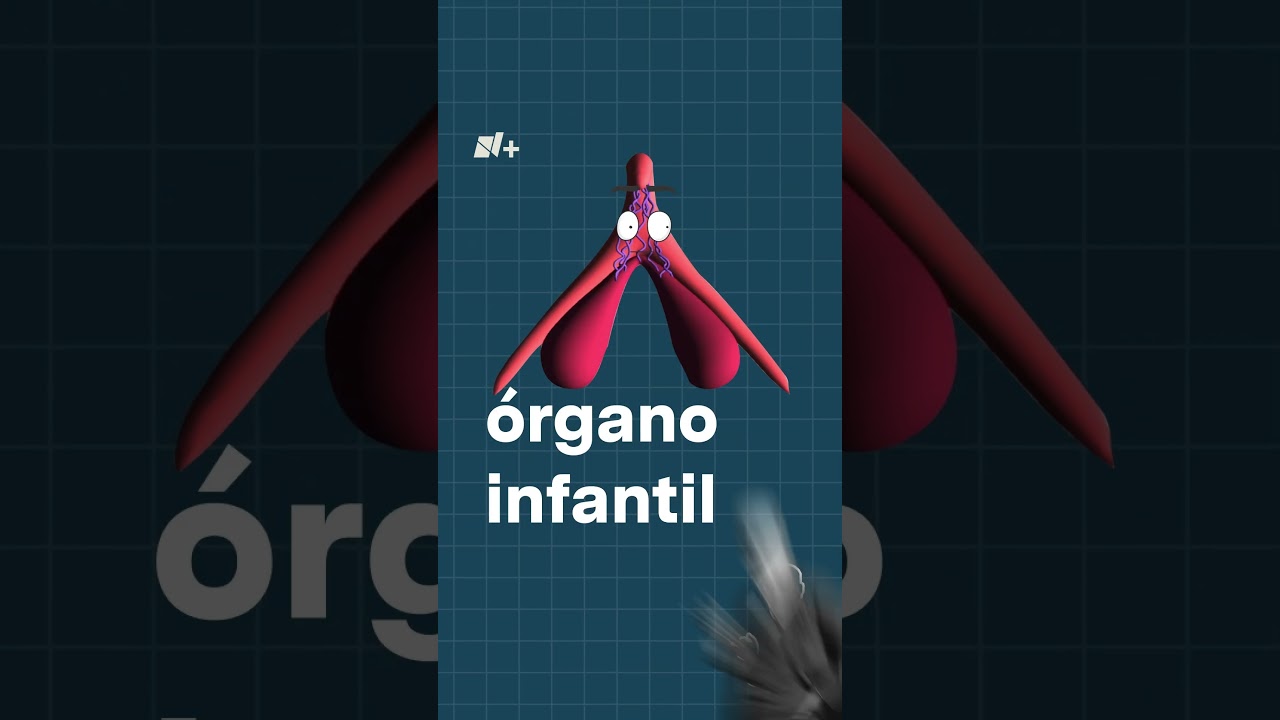 &iquest;No encuentras el cl&iacute;toris? Hasta hace 25 a&ntilde;os la medicina tampoco - N+ #clitoris #sexualidad #salud