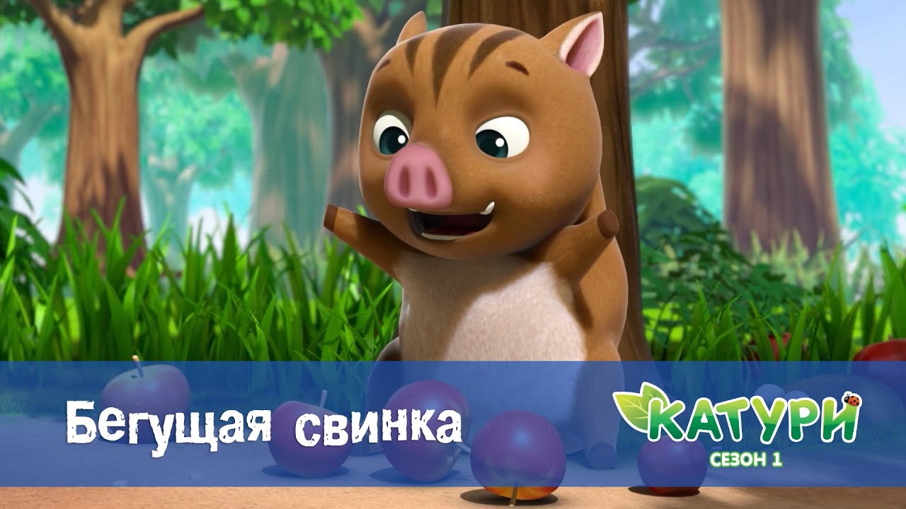Катури. Сезон 1 - Серия 22.Бегущая свинка - Мультфильм для малышей