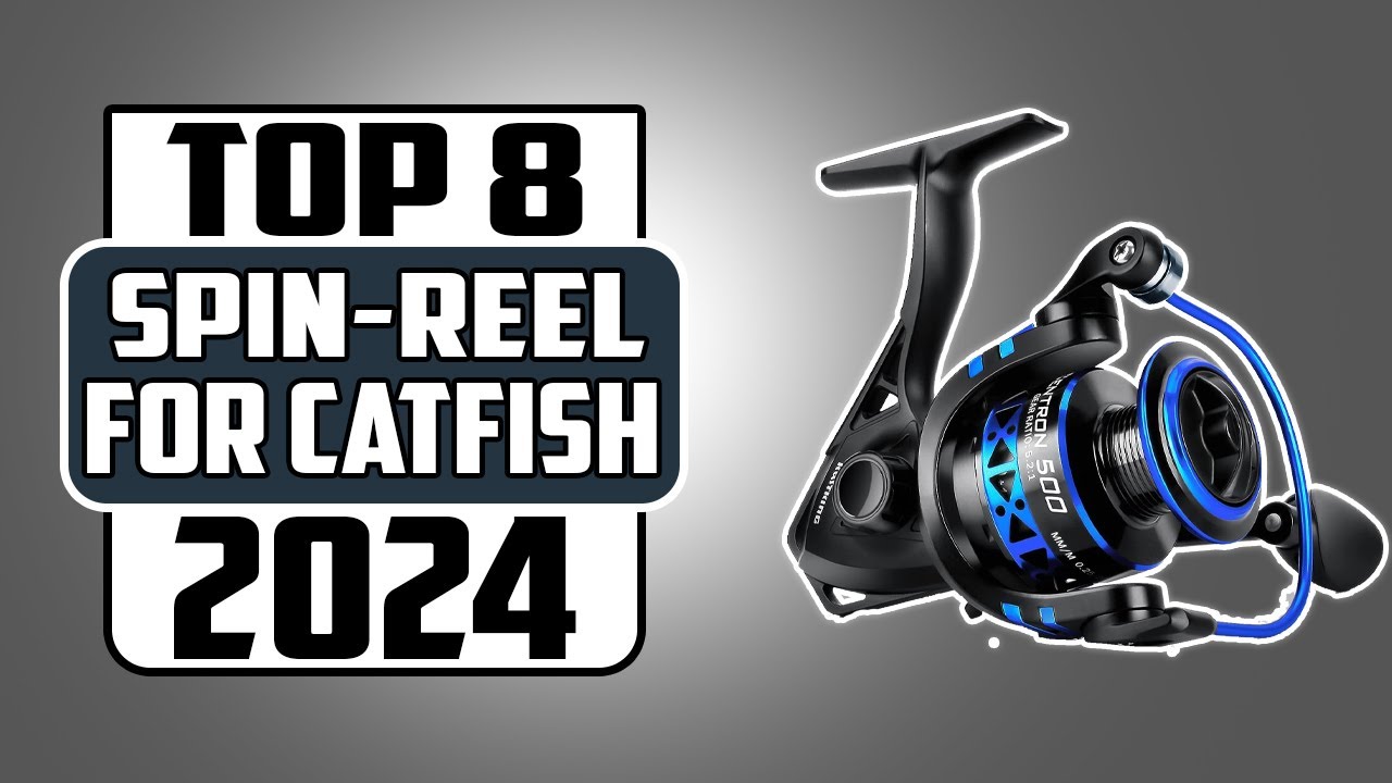 Top 8 Best Spinning Reels for Catfish Fishing In 2024 Expert Picks & Reviews