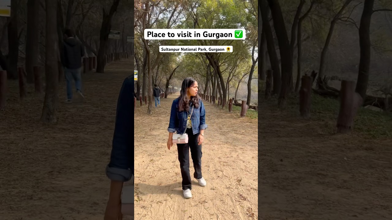 Must visit✅#sultanpur #nationalpark #travel #gurgaon #sultanpurnationalpark #neargurgaon #nature