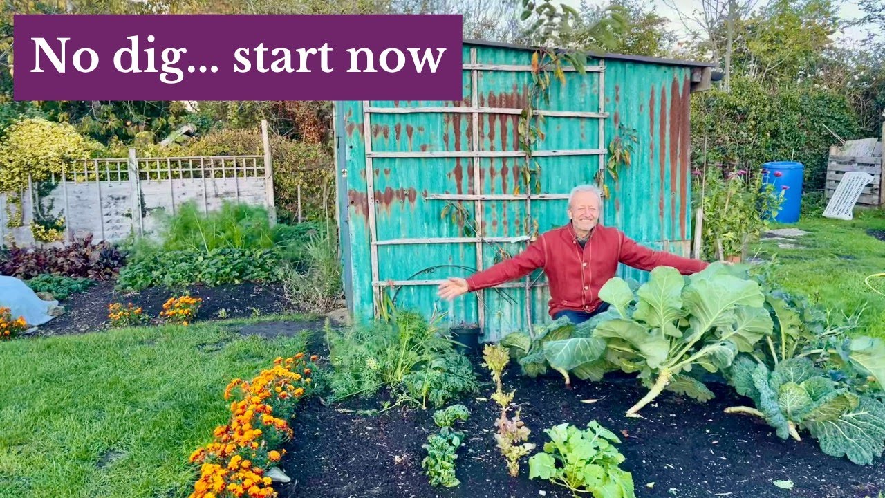 Make Your First No Dig Bed | Start Growing Your Own Food | No Dig Day 2025