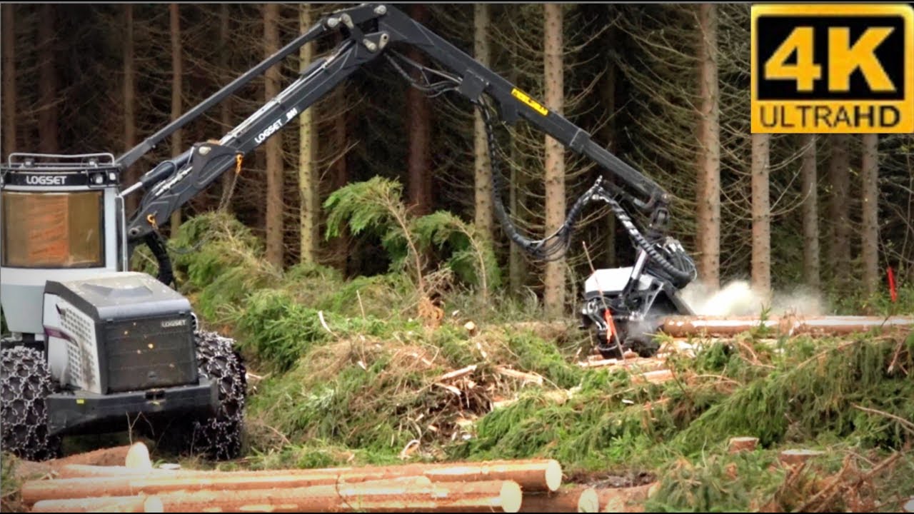 LOGSET 8H  with TH65 harvester head  4K ULTRA HD 2160p