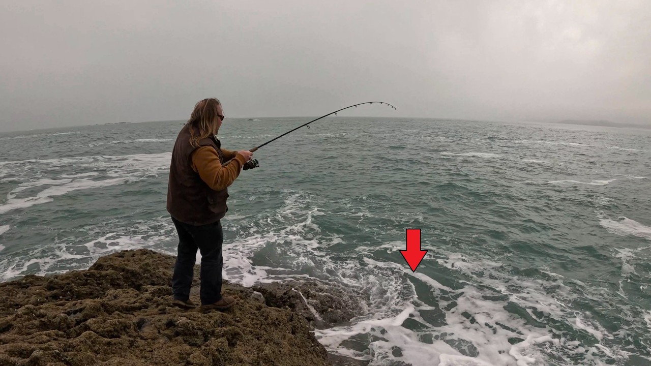 Pêche du requin le plus commun de France : de la capture à l'assiette !