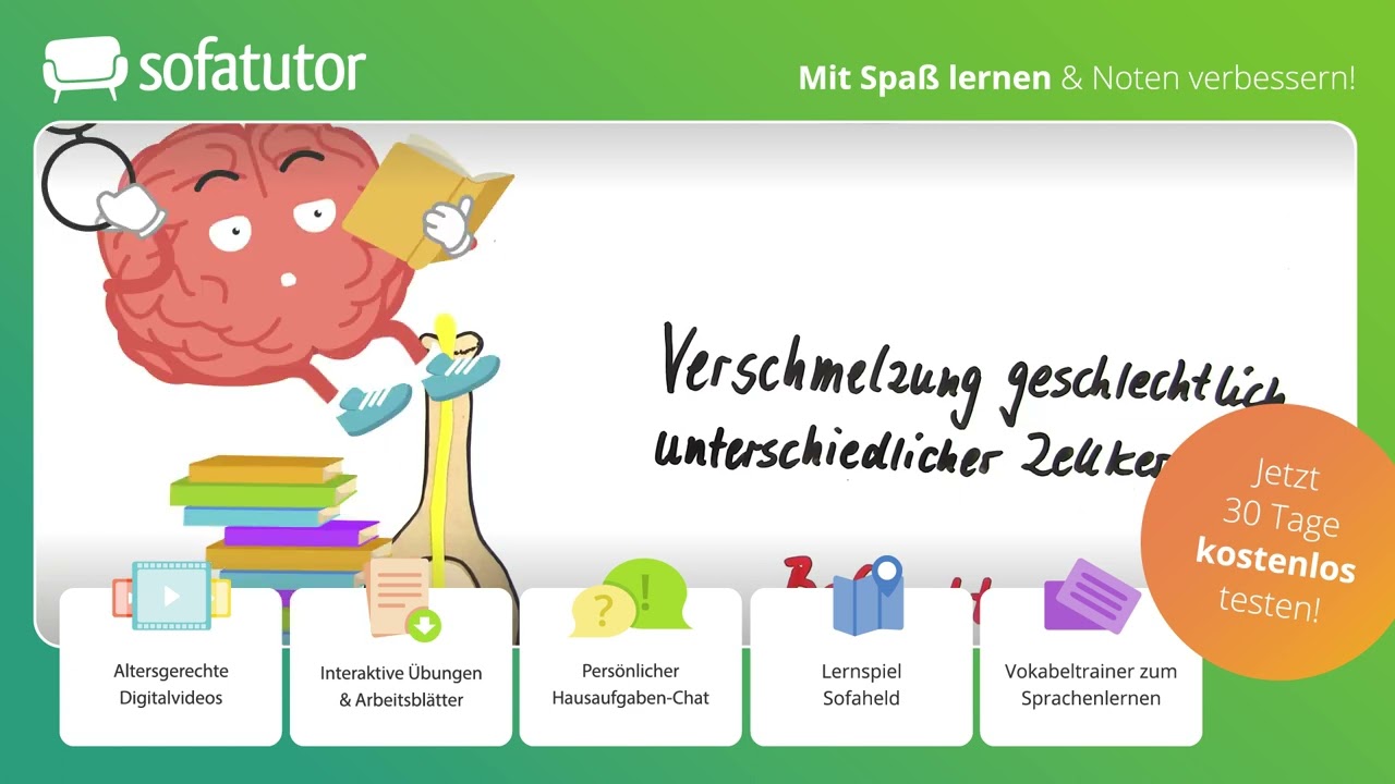 Von der Bl&uuml;te zur Frucht &ndash; Best&auml;ubung, Befruchtung & Fruchtentwicklung