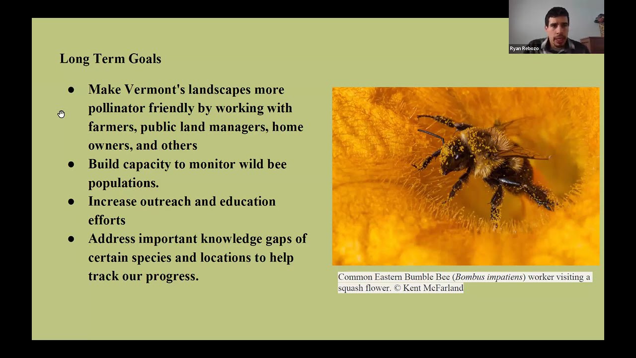 Integrated Pest Management (IPM) Week 1/26/2026: Wild Bee Pollinators and IPM on Vermont Farms