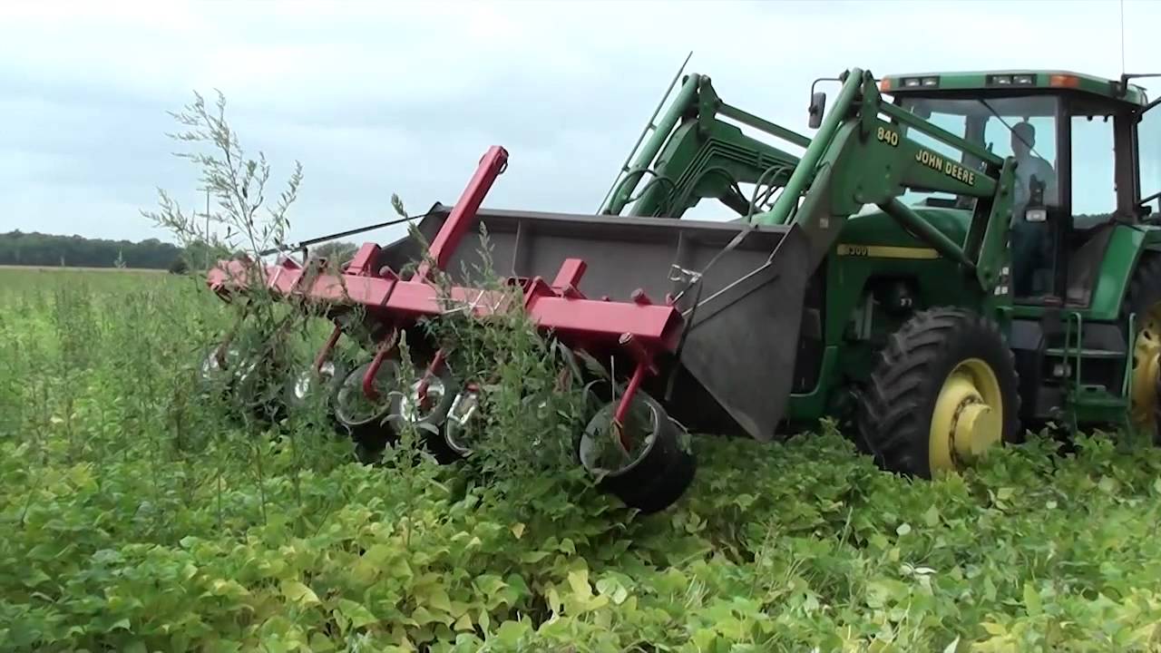 Organic Weed Puller Demonstrations 2010
