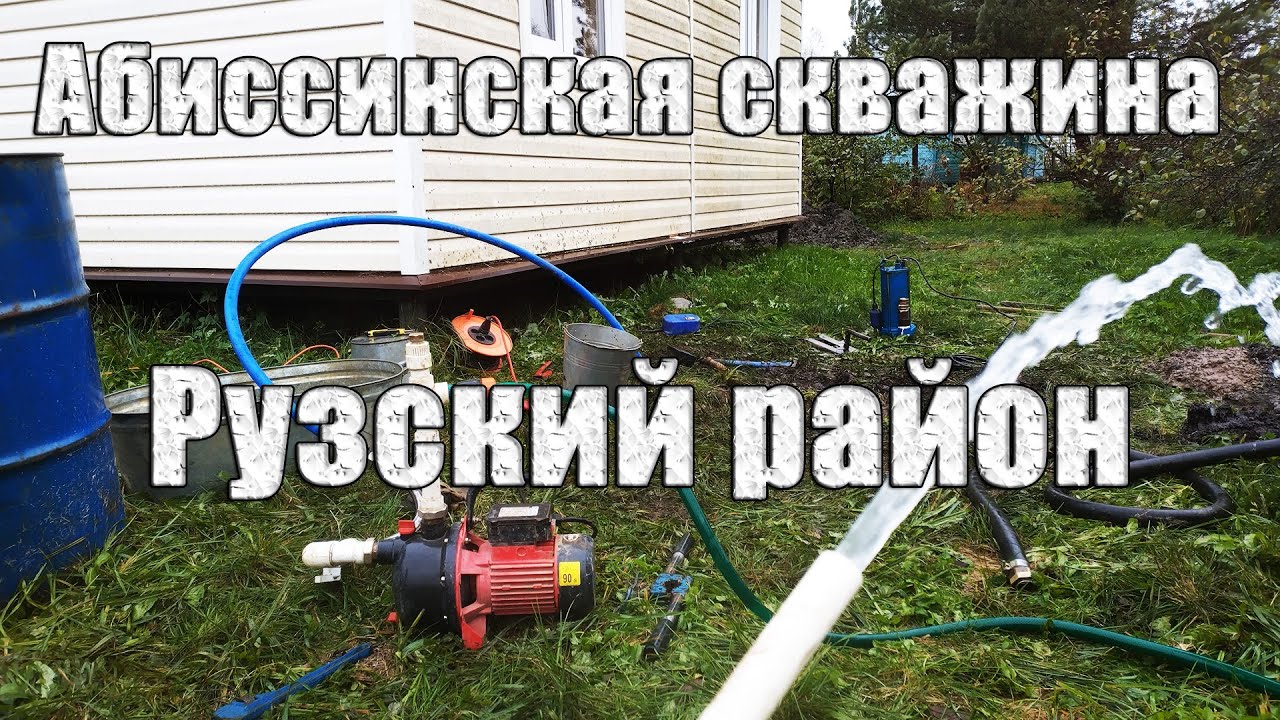 Тамбовец с обсыпкой на мелком меске. Абиссинка на грани самоизлива.