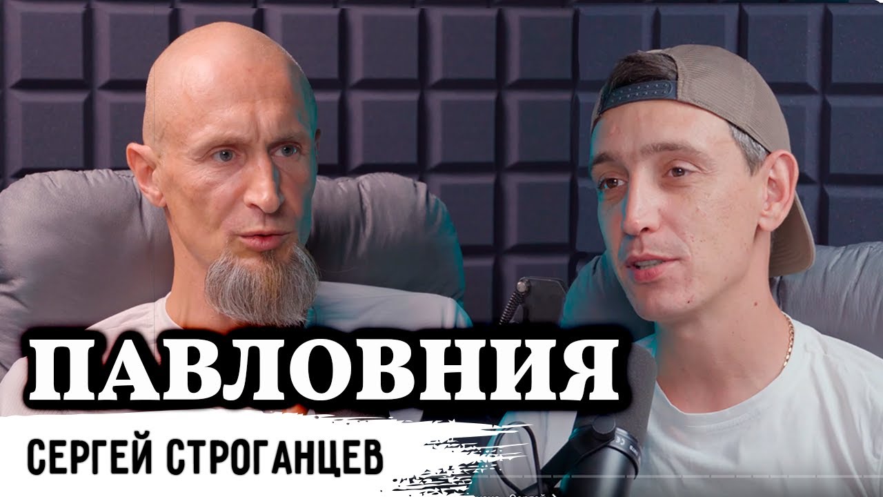 Павловния. Секреты и преимущества культуры.