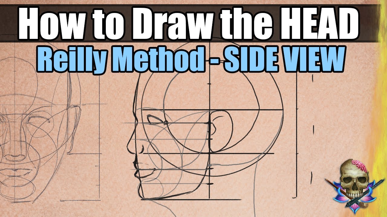 How to Draw the HEAD & FACE - Reilly Method SIDE VIEW - Art Tutorial