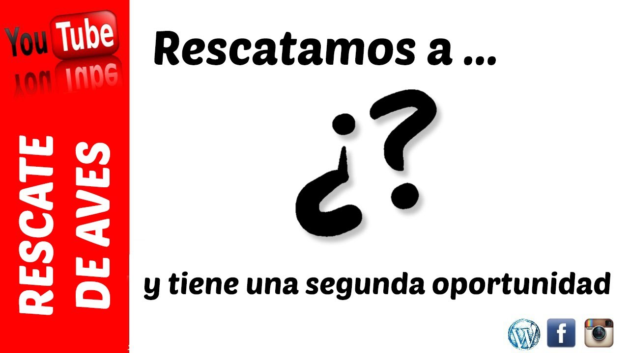 Rescatamos a ...