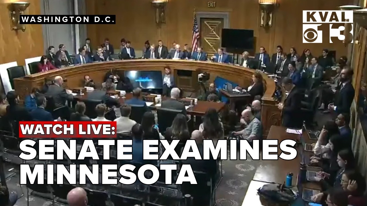 Senate Homeland Security panel holds oversight hearing with Minnesota, immigration officers