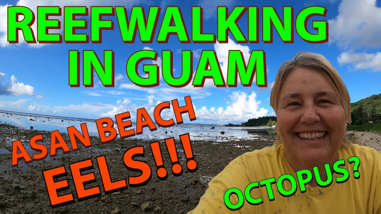 Reefwalking at Asan, Guam