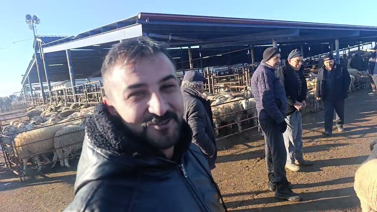 19 Şubat Perşembe Afyon Çayırbağ hayvan pazarı pazar çok durgundu bu gün YouTube Kuzucu isa olarak 
