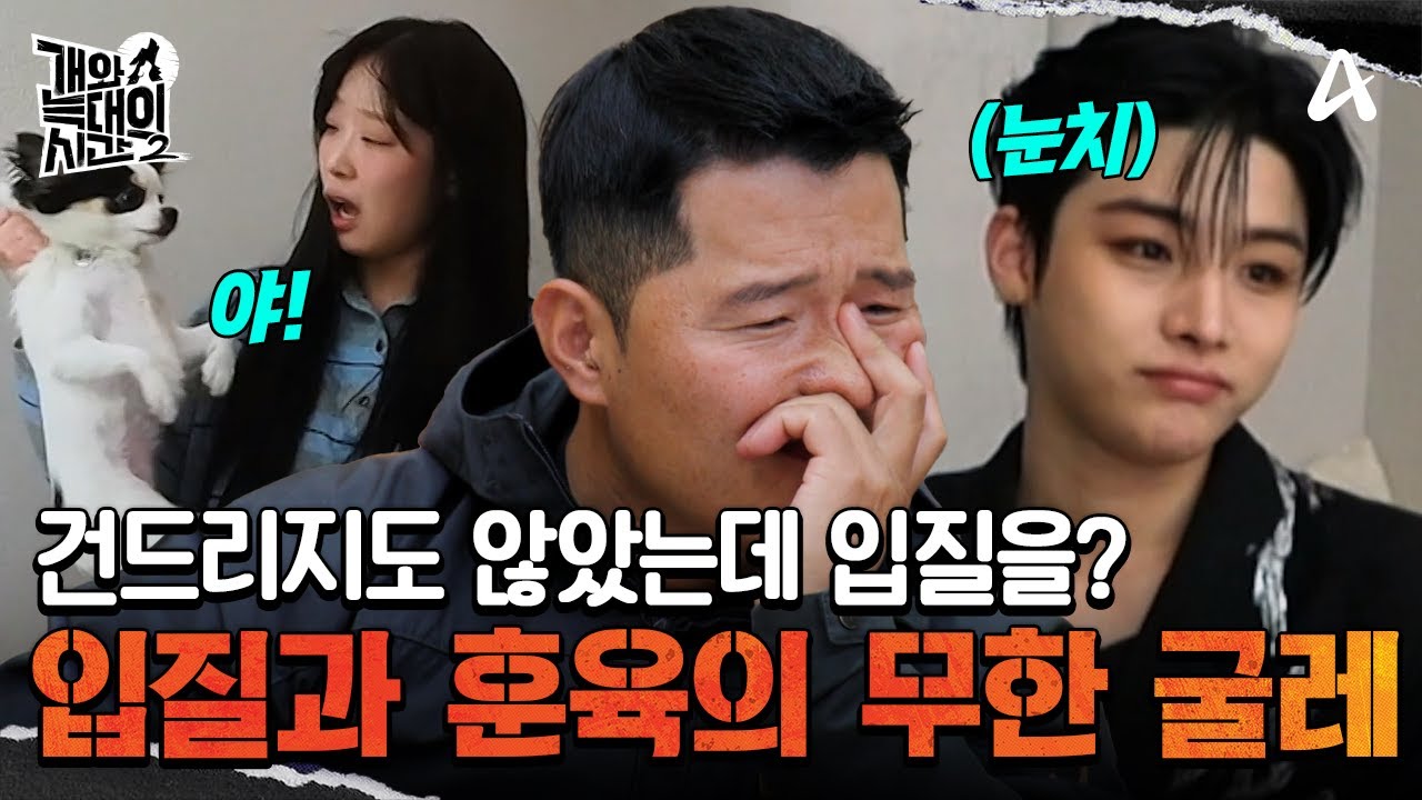 이번엔 쓰다듬지도 않았는데 입질을? 입질과 훈육의 무한 굴레 | 개와 늑대의 시간 2 1 회