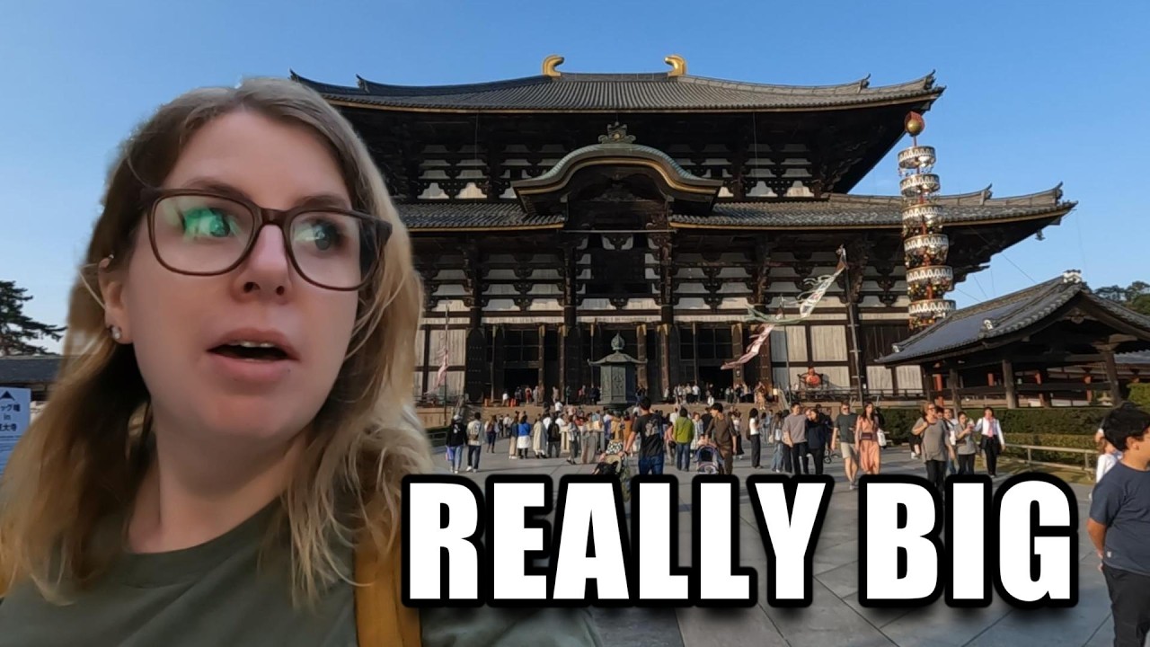 What can you do in Nara Deer Park?