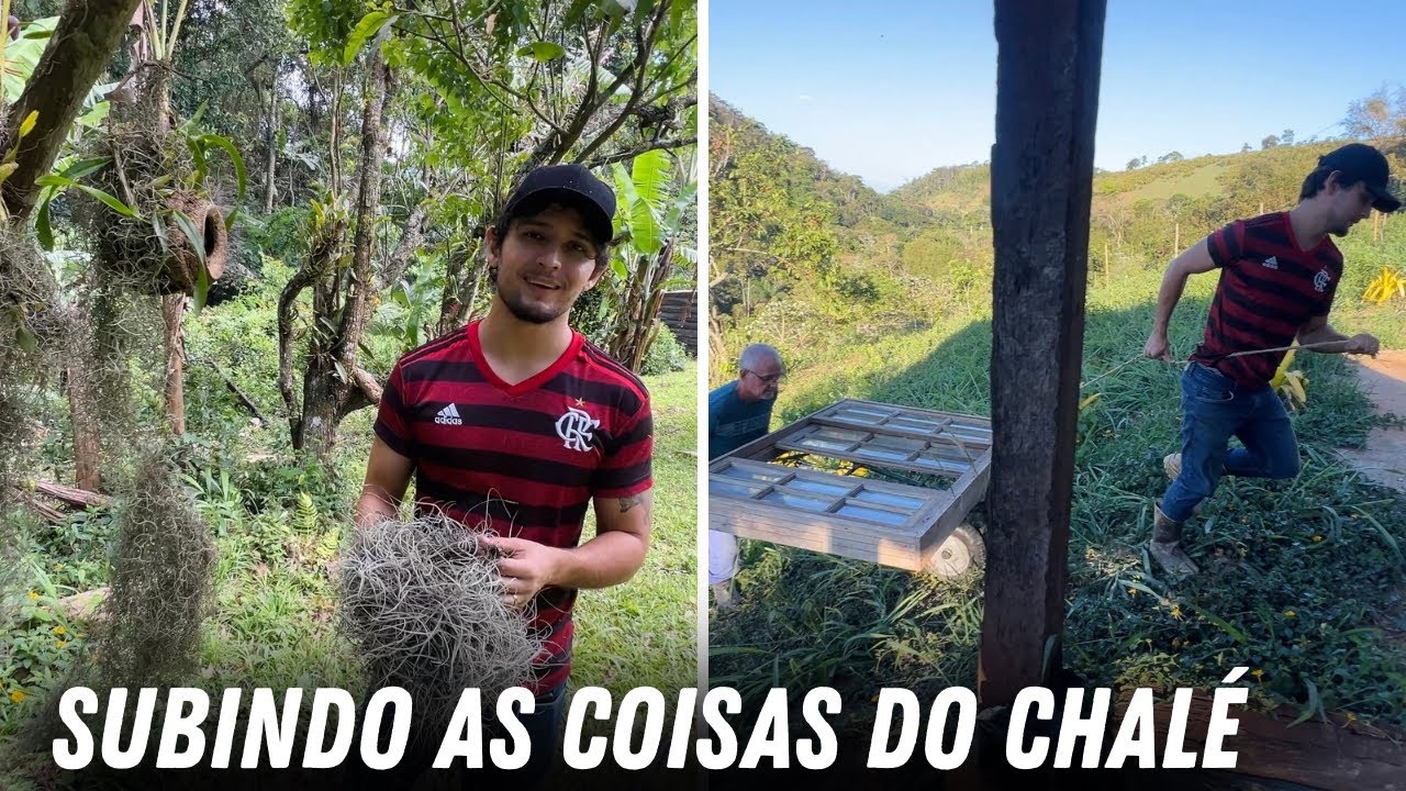 HOJE TEMOS AJUDA PRA SUBIR MATERIAL PRA OBRA/Bora pra Ro&ccedil;a?