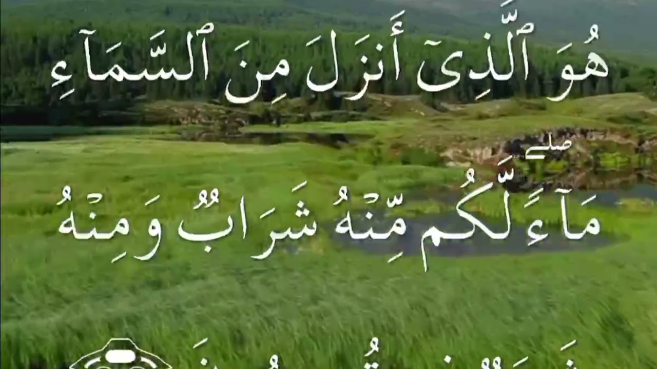 سورة النحل  صفحة ٢٦٨ مكتوبة مكررة بصوت سعد الغامدي